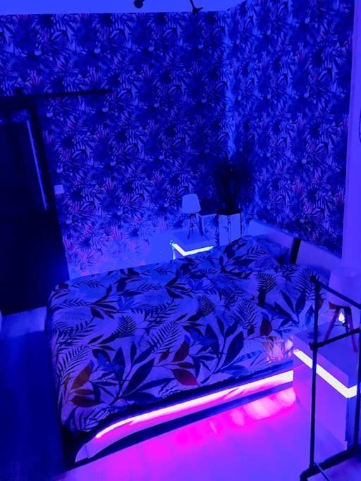 Le Led Room,Centre Ville Place De Parking Gratuite 상스 외부 사진